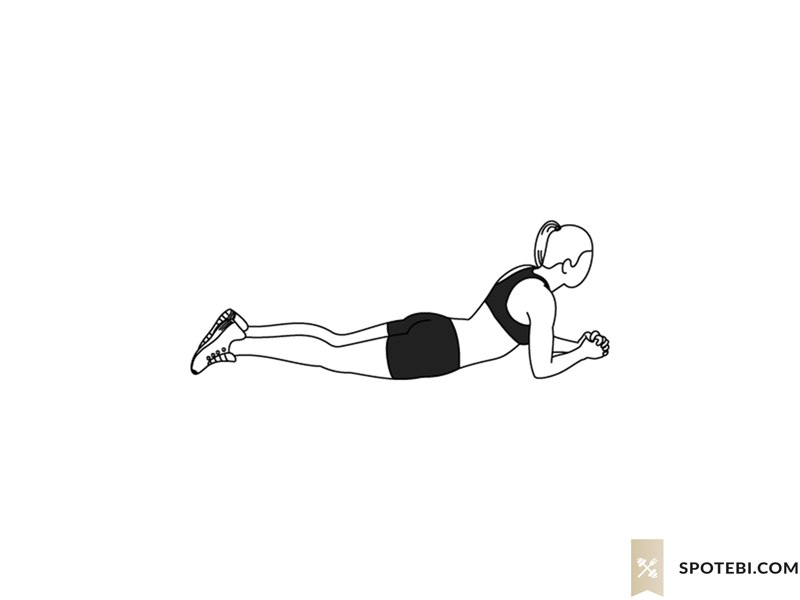 Abdominal bridge exercise guide with instructions, demonstration, calories burned and muscles worked. Learn proper form, discover all health benefits and choose a workout. https://www.spotebi.com/exercise-guide/abdominal-bridge/