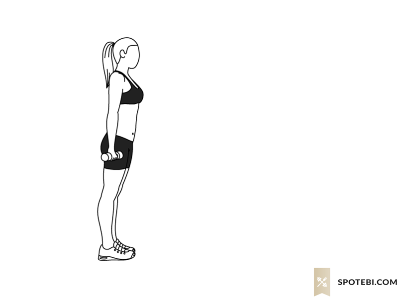 Alternating lunge front raise exercise guide with instructions, demonstration, calories burned and muscles worked. Learn proper form, discover all health benefits and choose a workout. https://www.spotebi.com/exercise-guide/alternating-lunge-front-raise/