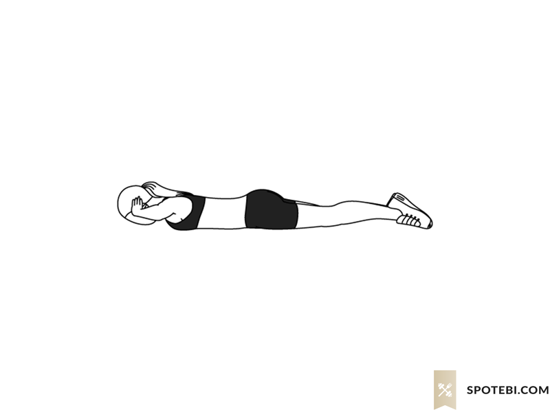 Back extensions exercise guide with instructions, demonstration, calories burned and muscles worked. Learn proper form, discover all health benefits and choose a workout. https://www.spotebi.com/exercise-guide/back-extensions/