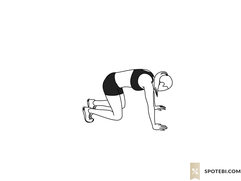 Bear squat exercise guide with instructions, demonstration, calories burned and muscles worked. Learn proper form, discover all health benefits and choose a workout. https://www.spotebi.com/exercise-guide/bear-squat/