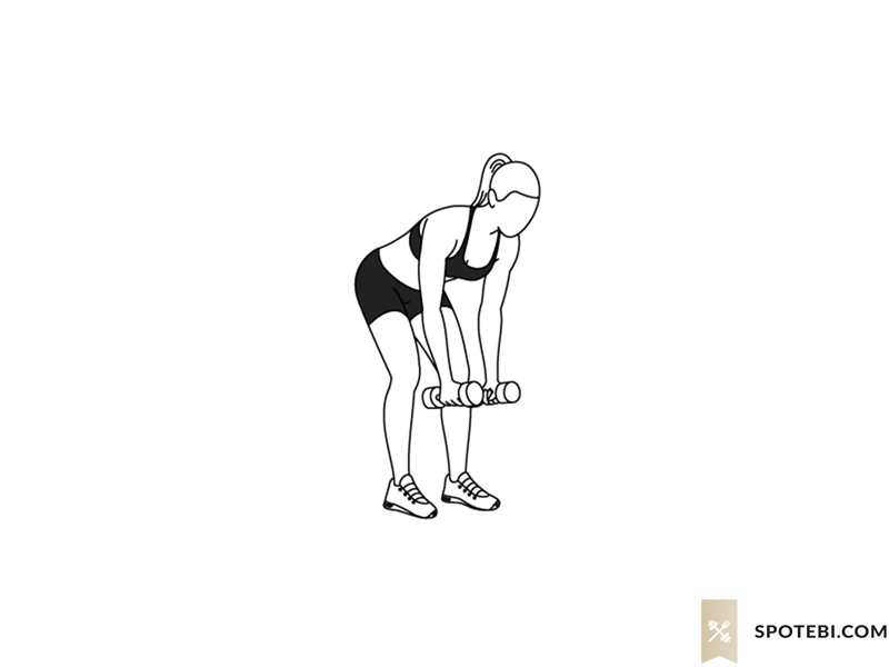Bent over lateral raise exercise guide with instructions, demonstration, calories burned and muscles worked. Learn proper form, discover all health benefits and choose a workout. https://www.spotebi.com/exercise-guide/bent-over-lateral-raise/