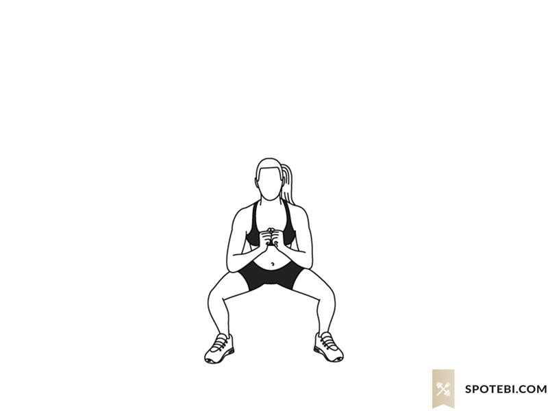 Boxer squat punch exercise guide with instructions, demonstration, calories burned and muscles worked. Learn proper form, discover all health benefits and choose a workout. https://www.spotebi.com/exercise-guide/boxer-squat-punch/