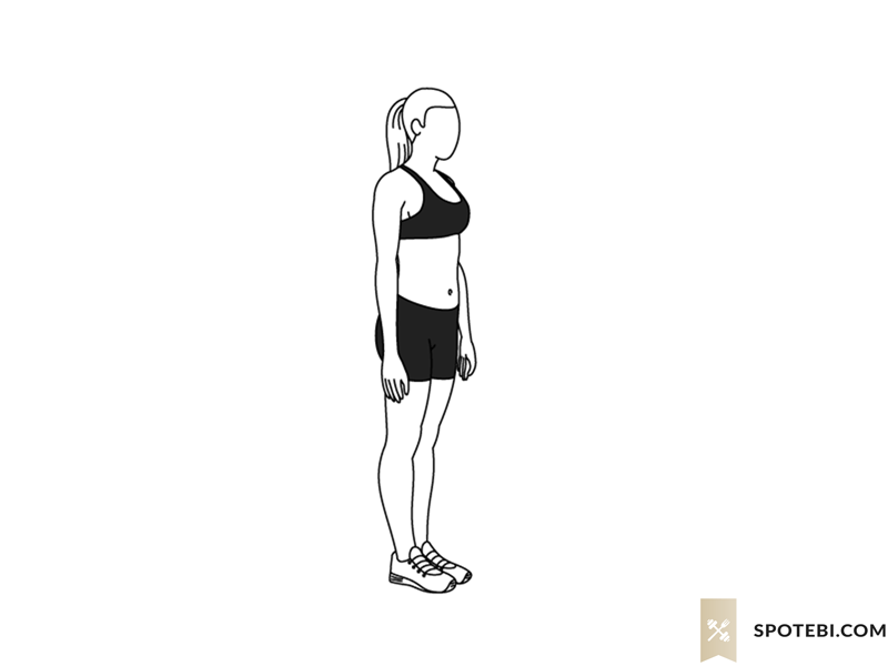 Calf raises exercise guide with instructions, demonstration, calories burned and muscles worked. Learn proper form, discover all health benefits and choose a workout. https://www.spotebi.com/exercise-guide/calf-raises/