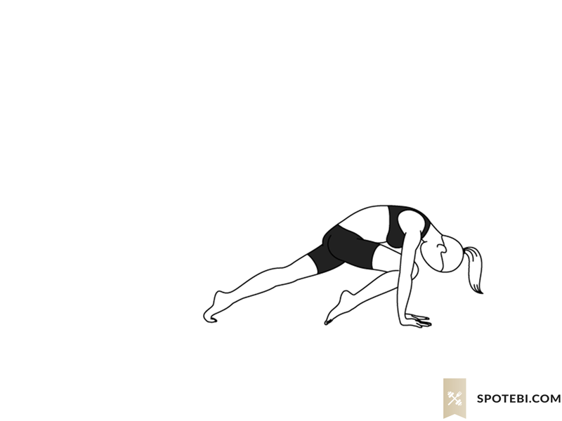 Knee to nose dog pose (Jaanu Naasikaa Adho Mukha Svanasana) instructions, illustration, and mindfulness practice. Learn about preparatory, complementary and follow-up poses, and discover all health benefits. https://www.spotebi.com/exercise-guide/knee-to-nose-dog-pose/