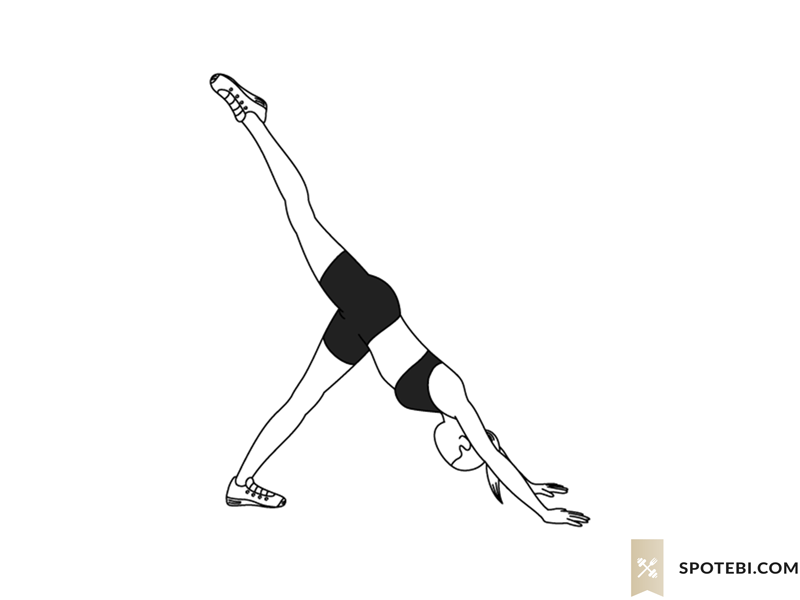 Downward dog crunch exercise guide with instructions, demonstration, calories burned and muscles worked. Learn proper form, discover all health benefits and choose a workout. https://www.spotebi.com/exercise-guide/downward-dog-crunch/