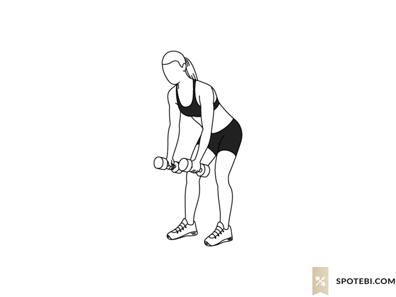 Dumbbell bent over row exercise guide with instructions, demonstration, calories burned and muscles worked. Learn proper form, discover all health benefits and choose a workout. https://www.spotebi.com/exercise-guide/dumbbell-bent-over-row/