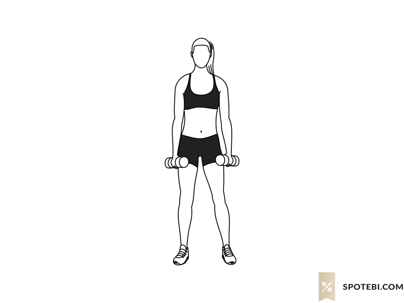 Dumbbell side swings exercise guide with instructions, demonstration, calories burned and muscles worked. Learn proper form, discover all health benefits and choose a workout. https://www.spotebi.com/exercise-guide/dumbbell-side-swings/