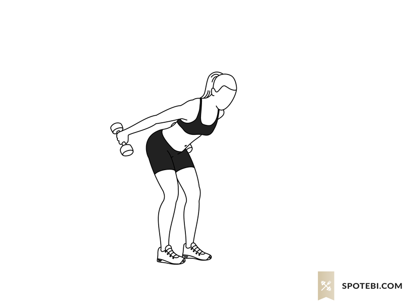 Dumbbell skier swing exercise guide with instructions, demonstration, calories burned and muscles worked. Learn proper form, discover all health benefits and choose a workout. https://www.spotebi.com/exercise-guide/dumbbell-skier-swing/