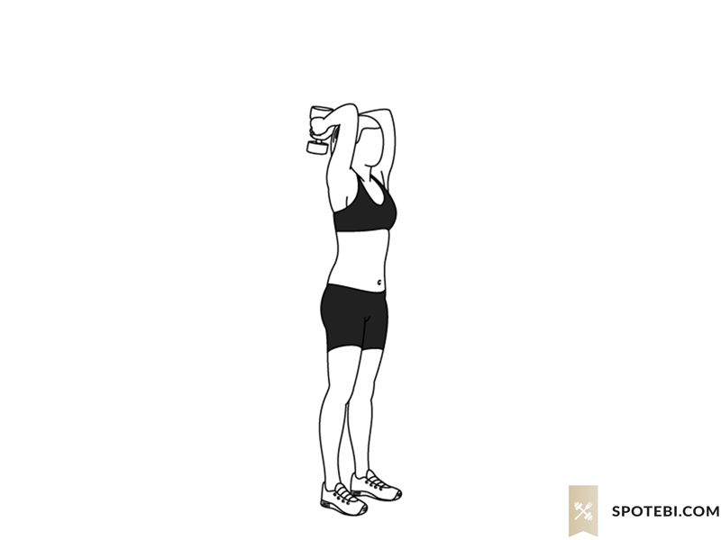 Dumbbell triceps extension exercise guide with instructions, demonstration, calories burned and muscles worked. Learn proper form, discover all health benefits and choose a workout. https://www.spotebi.com/exercise-guide/dumbbell-triceps-extension/