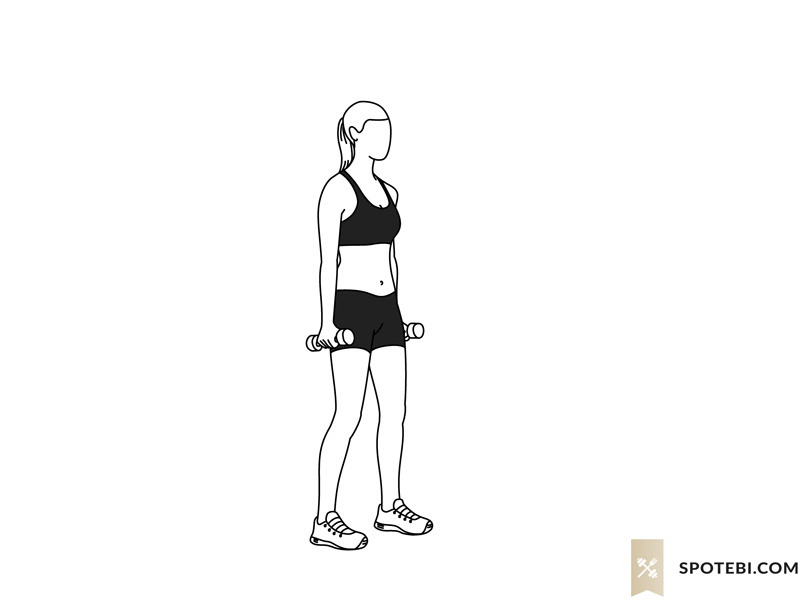 Standing Y raise exercise guide with instructions, demonstration, calories burned and muscles worked. Learn proper form, discover all health benefits and choose a workout. https://www.spotebi.com/exercise-guide/standing-y-raise/