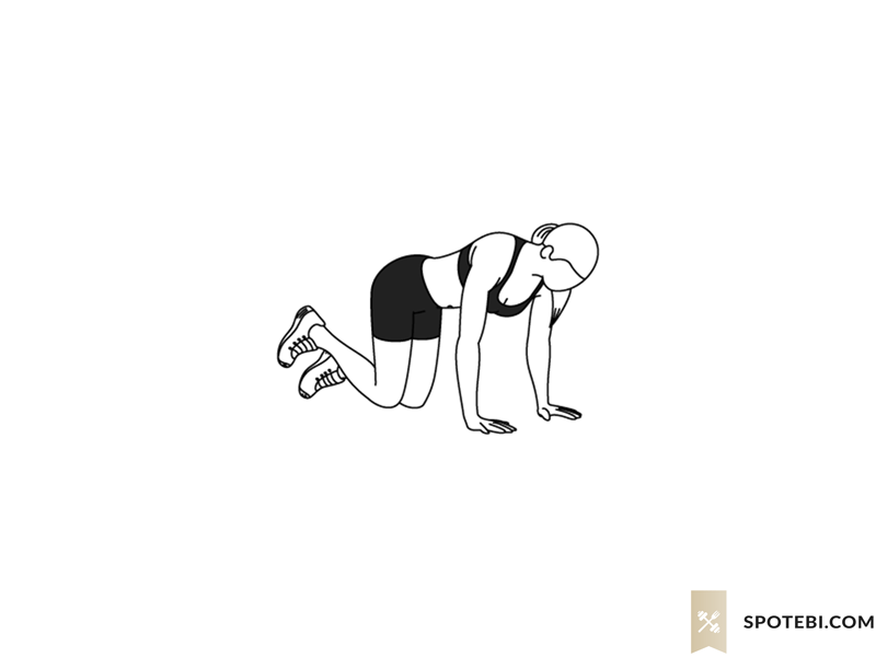 Fire hydrant exercise guide with instructions, demonstration, calories burned and muscles worked. Learn proper form, discover all health benefits and choose a workout. https://www.spotebi.com/exercise-guide/fire-hydrant/