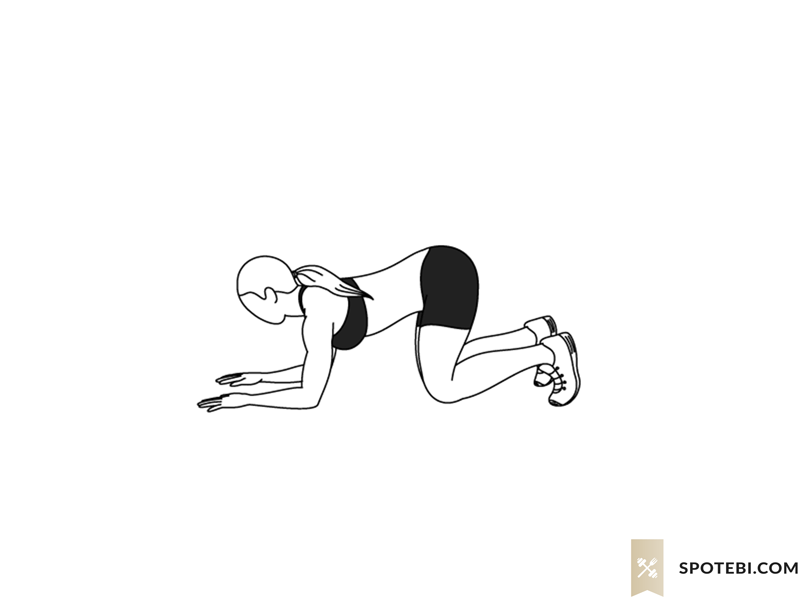 Knee and elbow press up exercise guide with instructions, demonstration, calories burned and muscles worked. Learn proper form, discover all health benefits and choose a workout. https://www.spotebi.com/exercise-guide/knee-and-elbow-press-up/