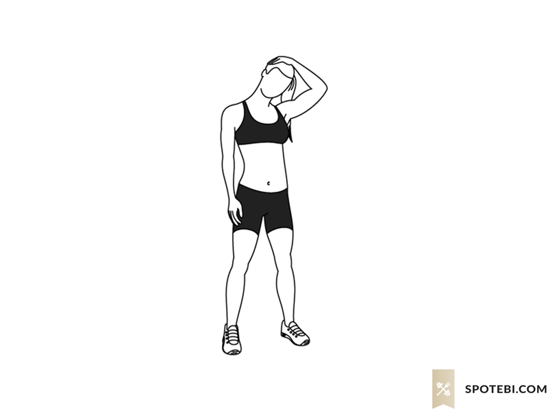 Neck stretch exercise guide with instructions, demonstration, calories burned and muscles worked. Learn proper form, discover all health benefits and choose a workout. https://www.spotebi.com/exercise-guide/neck-stretch/