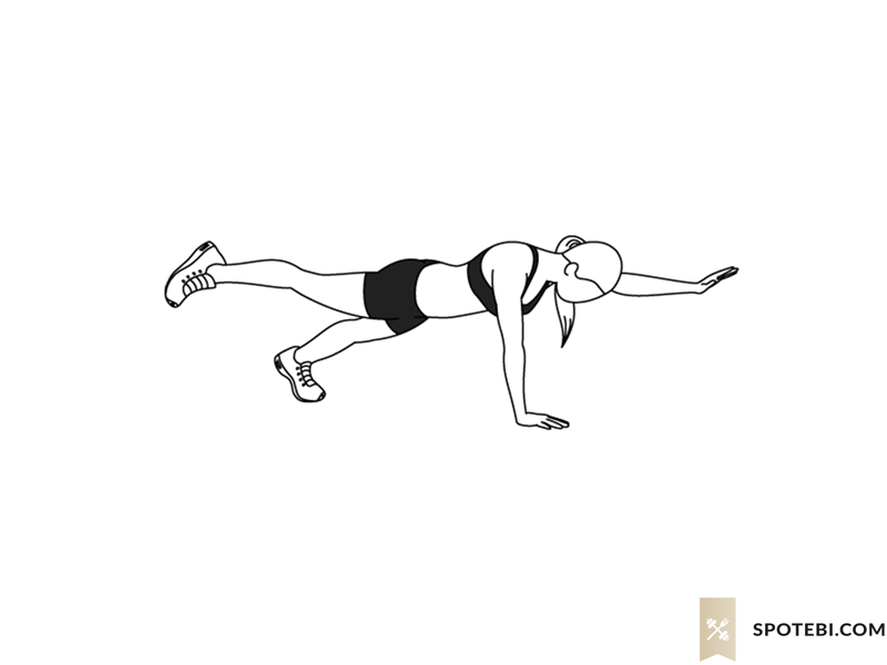 Plank bird dog exercise guide with instructions, demonstration, calories burned and muscles worked. Learn proper form, discover all health benefits and choose a workout. https://www.spotebi.com/exercise-guide/plank-bird-dog/
