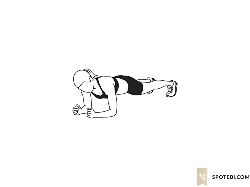 Plank exercise guide with instructions, demonstration, calories burned and muscles worked. Learn proper form, discover all health benefits and choose a workout. https://www.spotebi.com/exercise-guide/plank/
