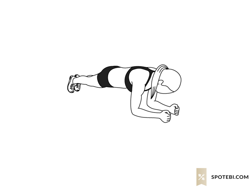 Plank hip dips exercise guide with instructions, demonstration, calories burned and muscles worked. Learn proper form, discover all health benefits and choose a workout. https://www.spotebi.com/exercise-guide/plank-hip-dips/