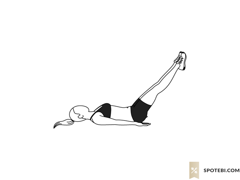 Roll over exercise guide with instructions, demonstration, calories burned and muscles worked. Learn proper form, discover all health benefits and choose a workout. https://www.spotebi.com/exercise-guide/roll-over/