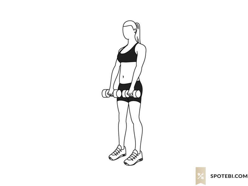 Romanian deadlift exercise guide with instructions, demonstration, calories burned and muscles worked. Learn proper form, discover all health benefits and choose a workout. https://www.spotebi.com/exercise-guide/romanian-deadlift/