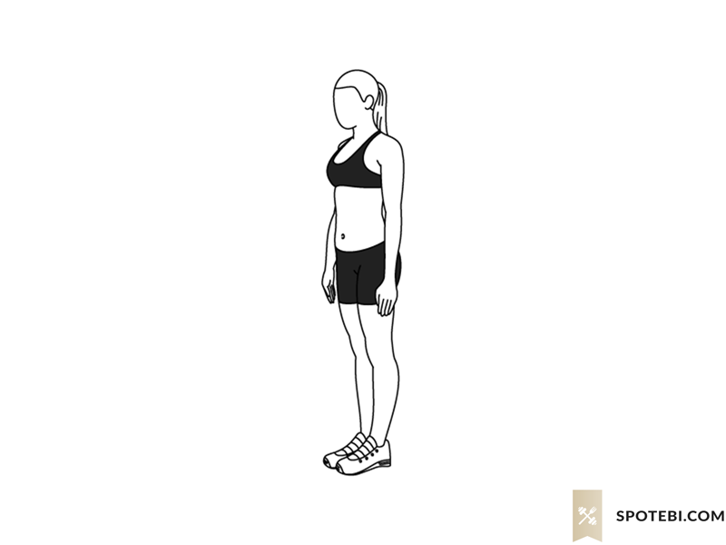Shoulder rolls exercise guide with instructions, demonstration, calories burned and muscles worked. Learn proper form, discover all health benefits and choose a workout. https://www.spotebi.com/exercise-guide/shoulder-rolls/