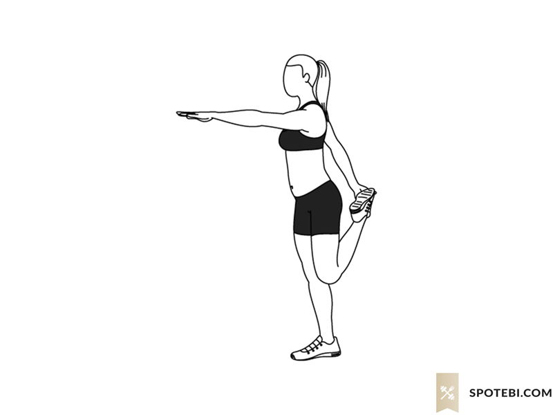 Shrimp squat exercise guide with instructions, demonstration, calories burned and muscles worked. Learn proper form, discover all health benefits and choose a workout. https://www.spotebi.com/exercise-guide/shrimp-squat/