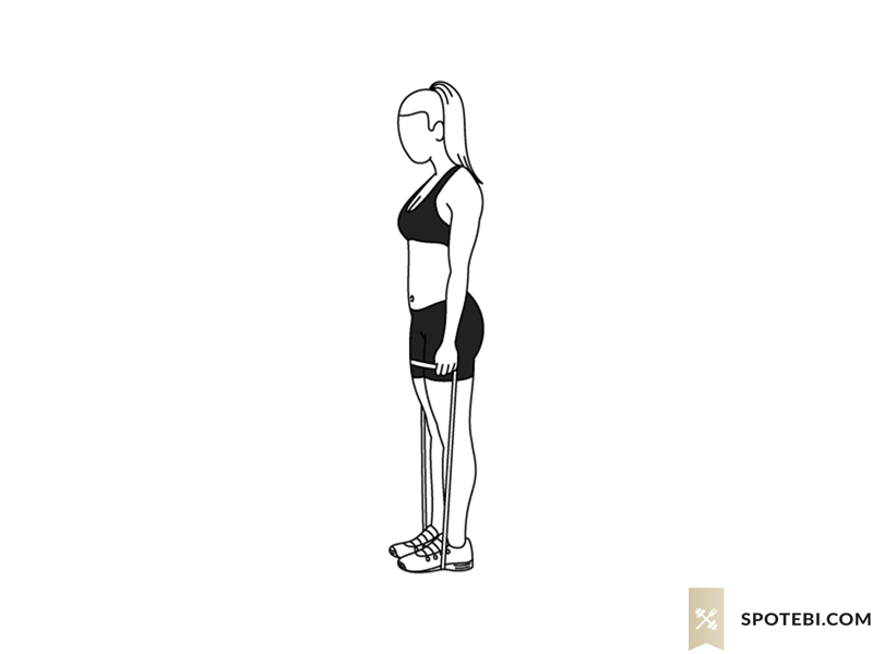 Squat band front raise exercise guide with instructions, demonstration, calories burned and muscles worked. Learn proper form, discover all health benefits and choose a workout. https://www.spotebi.com/exercise-guide/squat-band-front-raise/