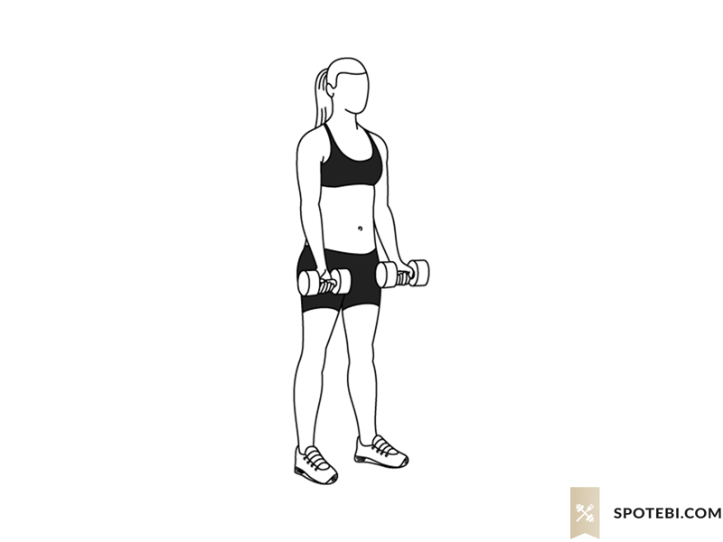 Squat curl exercise guide with instructions, demonstration, calories burned and muscles worked. Learn proper form, discover all health benefits and choose a workout. https://www.spotebi.com/exercise-guide/squat-curl/
