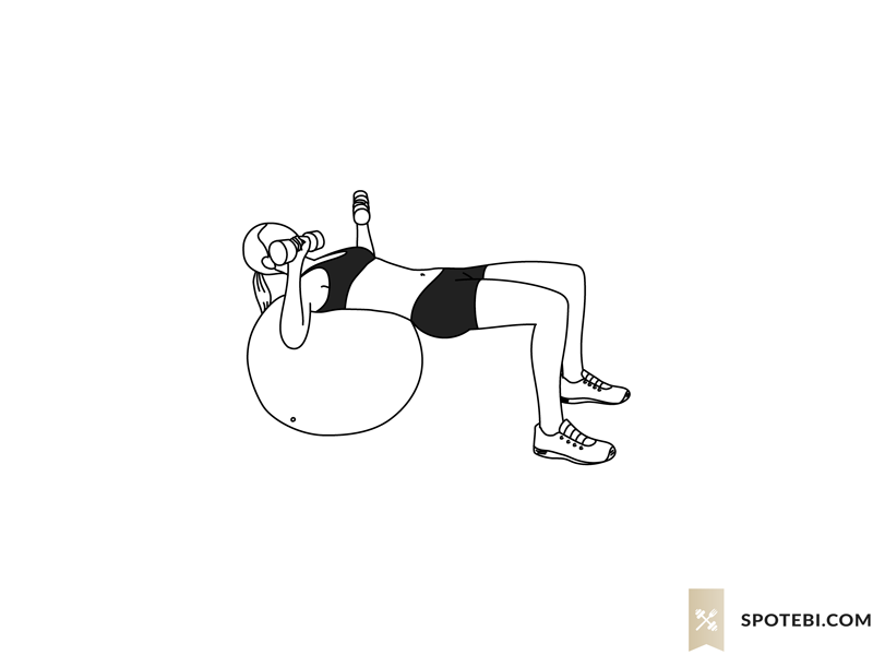 Stability ball chest press exercise guide with instructions, demonstration, calories burned and muscles worked. Learn proper form, discover all health benefits and choose a workout. https://www.spotebi.com/exercise-guide/stability-ball-chest-press/