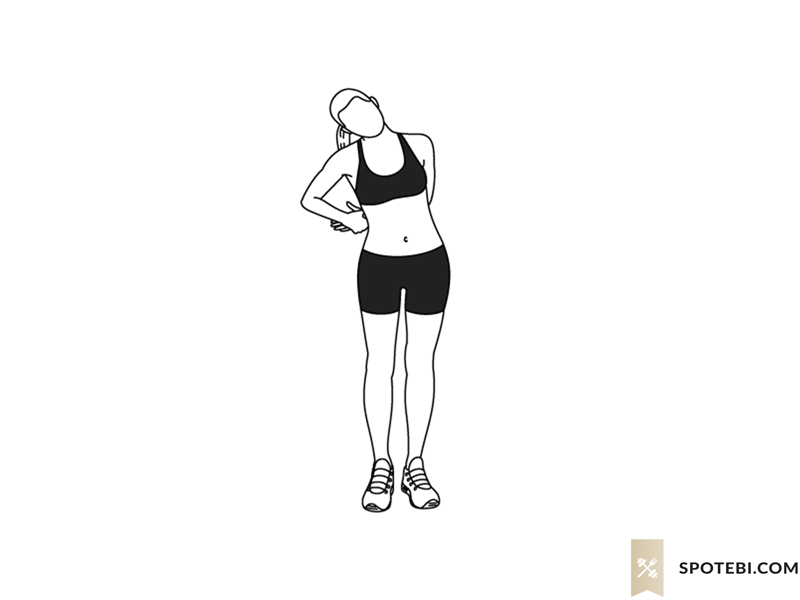 Standing neck stretch exercise guide with instructions, demonstration, calories burned and muscles worked. Learn proper form, discover all health benefits and choose a workout. https://www.spotebi.com/exercise-guide/standing-neck-stretch/