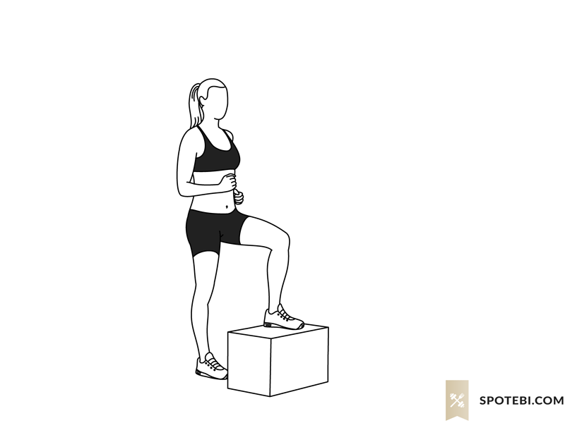 Step up with knee raise exercise guide with instructions, demonstration, calories burned and muscles worked. Learn proper form, discover all health benefits and choose a workout. https://www.spotebi.com/exercise-guide/step-up-with-knee-raise/