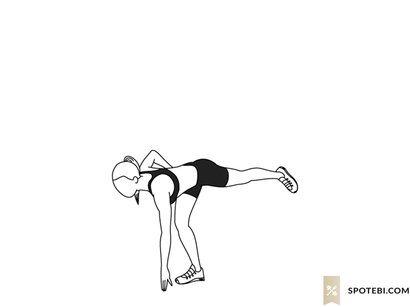 Touch and hop exercise guide with instructions, demonstration, calories burned and muscles worked. Learn proper form, discover all health benefits and choose a workout. https://www.spotebi.com/exercise-guide/touch-and-hop/