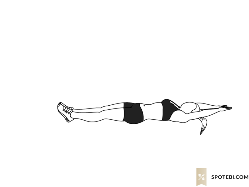 V ups exercise guide with instructions, demonstration, calories burned and muscles worked. Learn proper form, discover all health benefits and choose a workout. https://www.spotebi.com/exercise-guide/v-ups/