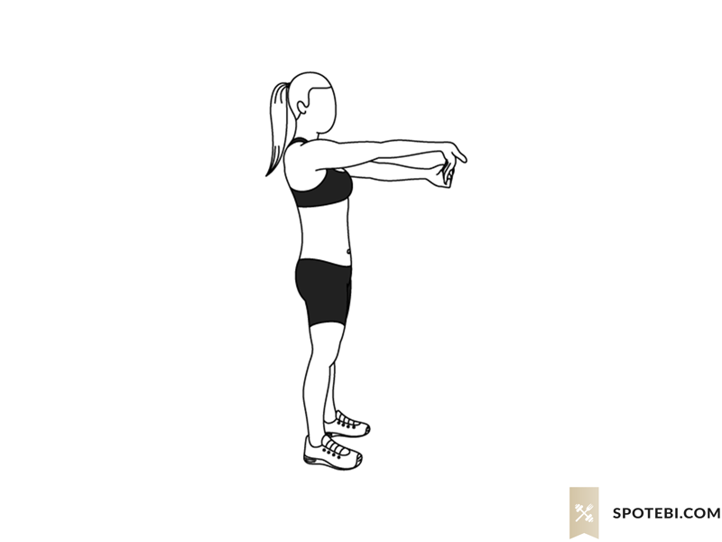 Wrist stretch exercise guide with instructions, demonstration, calories burned and muscles worked. Learn proper form, discover all health benefits and choose a workout. https://www.spotebi.com/exercise-guide/wrist-stretch/