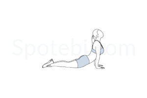 Ab stretch exercise guide with instructions, demonstration, calories burned and muscles worked. Learn proper form, discover all health benefits and choose a workout. https://www.spotebi.com/exercise-guide/ab-stretch/