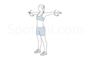 Arm circles exercise guide with instructions, demonstration, calories burned and muscles worked. Learn proper form, discover all health benefits and choose a workout. https://www.spotebi.com/exercise-guide/arm-circles/