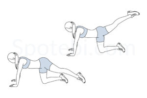 Back leg lifts exercise guide with instructions, demonstration, calories burned and muscles worked. Learn proper form, discover all health benefits and choose a workout. https://www.spotebi.com/exercise-guide/back-leg-lifts/