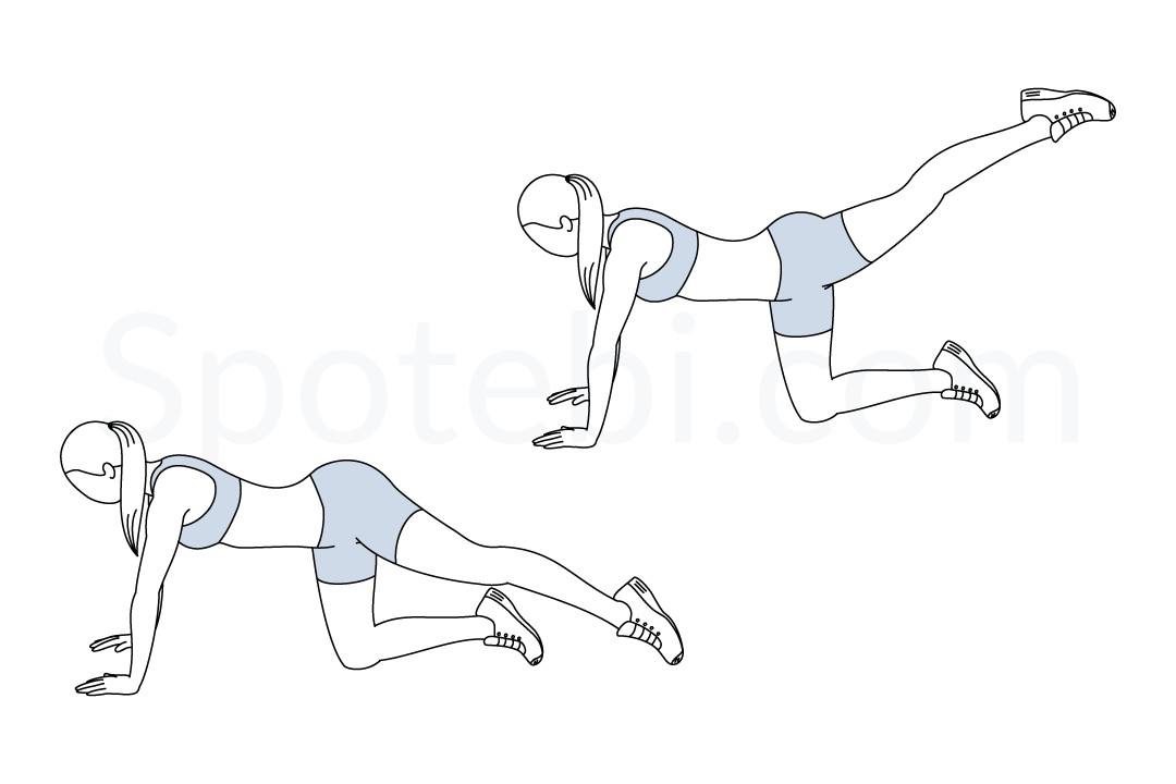 Back leg lifts exercise guide with instructions, demonstration, calories burned and muscles worked. Learn proper form, discover all health benefits and choose a workout. https://www.spotebi.com/exercise-guide/back-leg-lifts/