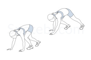 Bear walk exercise guide with instructions, demonstration, calories burned and muscles worked. Learn proper form, discover all health benefits and choose a workout. https://www.spotebi.com/exercise-guide/bear-walk/