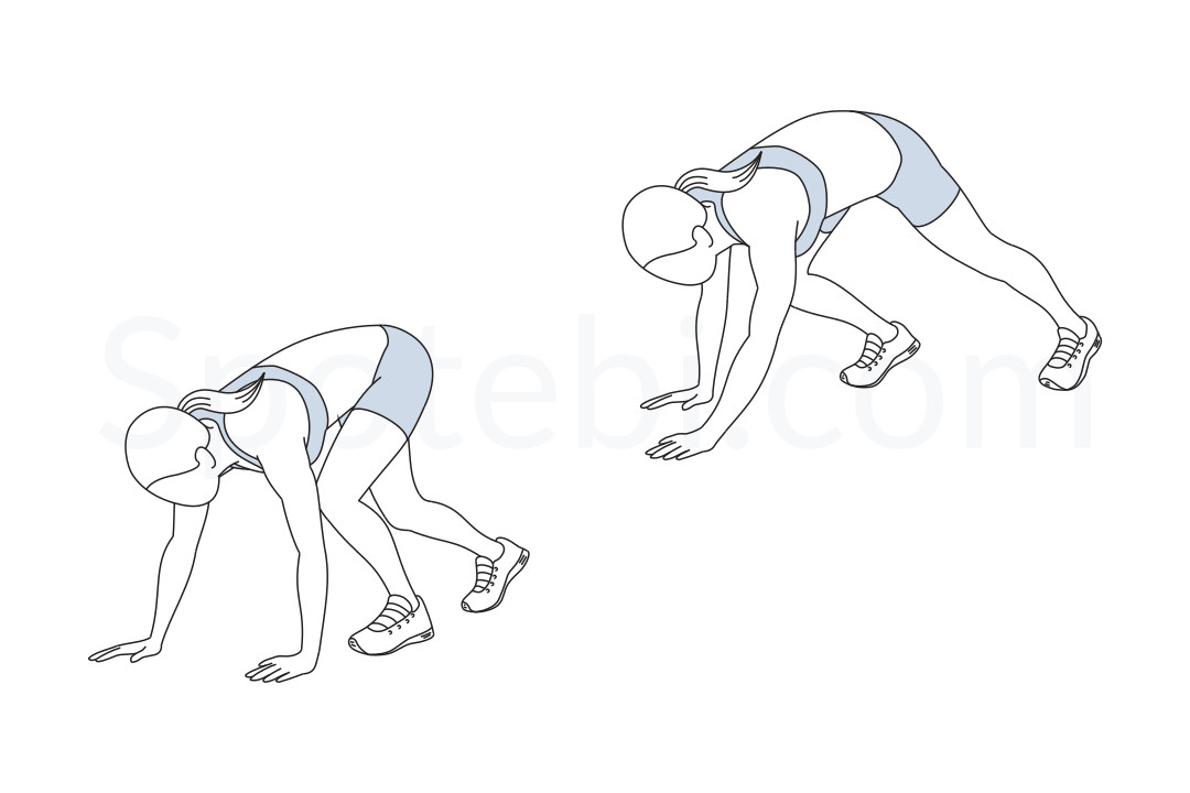 Bear walk exercise guide with instructions, demonstration, calories burned and muscles worked. Learn proper form, discover all health benefits and choose a workout. https://www.spotebi.com/exercise-guide/bear-walk/
