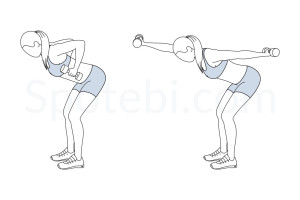 Bent over front back punch exercise guide with instructions, demonstration, calories burned and muscles worked. Learn proper form, discover all health benefits and choose a workout. https://www.spotebi.com/exercise-guide/bent-over-front-back-punch/