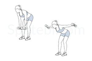 Bent over lateral raise exercise guide with instructions, demonstration, calories burned and muscles worked. Learn proper form, discover all health benefits and choose a workout. https://www.spotebi.com/exercise-guide/bent-over-lateral-raise/