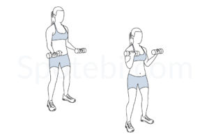 Bicep curls exercise guide with instructions, demonstration, calories burned and muscles worked. Learn proper form, discover all health benefits and choose a workout. https://www.spotebi.com/exercise-guide/biceps-curl/