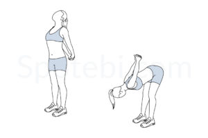 Biceps stretch exercise guide with instructions, demonstration, calories burned and muscles worked. Learn proper form, discover all health benefits and choose a workout. https://www.spotebi.com/exercise-guide/biceps-stretch/