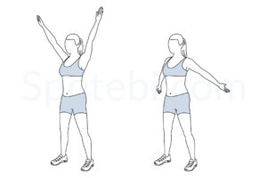 Big arm circles exercise guide with instructions, demonstration, calories burned and muscles worked. Learn proper form, discover all health benefits and choose a workout. https://www.spotebi.com/exercise-guide/big-arm-circles/