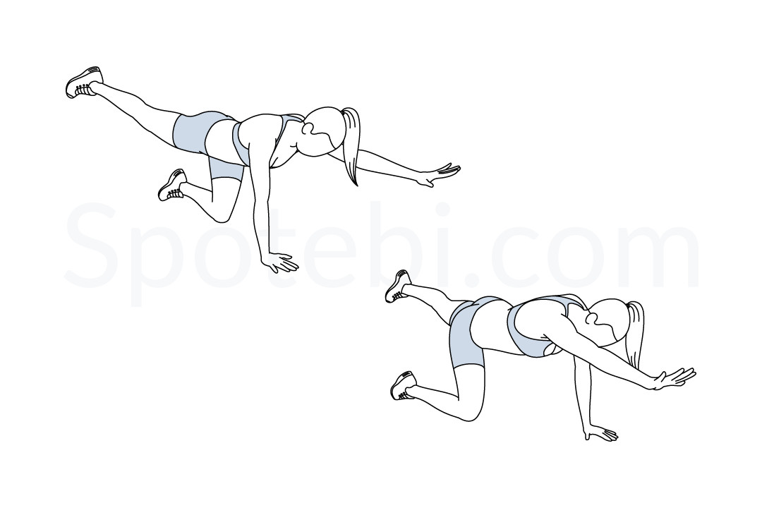 Bird dogs exercise guide with instructions, demonstration, calories burned and muscles worked. Learn proper form, discover all health benefits and choose a workout. https://www.spotebi.com/exercise-guide/bird-dogs/