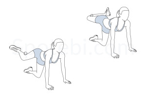 Booty squeeze exercise guide with instructions, demonstration, calories burned and muscles worked. Learn proper form, discover all health benefits and choose a workout. https://www.spotebi.com/exercise-guide/booty-squeeze/