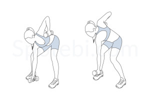 Bow and arrow squat pull exercise guide with instructions, demonstration, calories burned and muscles worked. Learn proper form, discover all health benefits and choose a workout. https://www.spotebi.com/exercise-guide/bow-and-arrow-squat-pull/