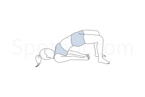 Bridge pose (Setu Bandha Sarvangasana) instructions, illustration and mindfulness practice. Learn about preparatory, complementary and follow-up poses, and discover all health benefits. https://www.spotebi.com/exercise-guide/bridge-pose/