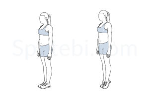 Calf raises exercise guide with instructions, demonstration, calories burned and muscles worked. Learn proper form, discover all health benefits and choose a workout. https://www.spotebi.com/exercise-guide/calf-raises/