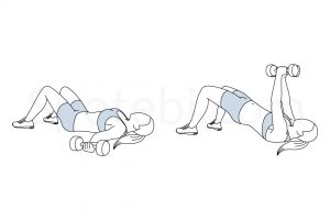 Chest fly glute bridge exercise guide with instructions, demonstration, calories burned and muscles worked. Learn proper form, discover all health benefits and choose a workout. https://www.spotebi.com/exercise-guide/chest-fly-glute-bridge/