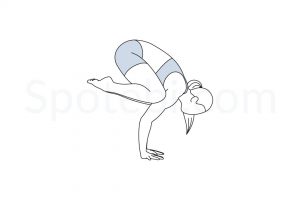 Crow pose (Bakasana) instructions, illustration, and mindfulness practice. Learn about preparatory, complementary and follow-up poses, and discover all health benefits. https://www.spotebi.com/exercise-guide/crow-pose/